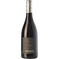 Sietejuntos merlot 2015