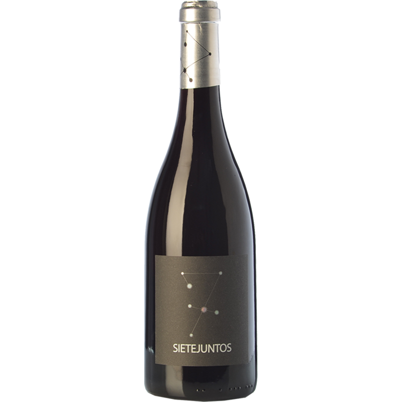 Sietejuntos merlot 2015