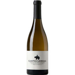 Cantocuerdas albillo 2016