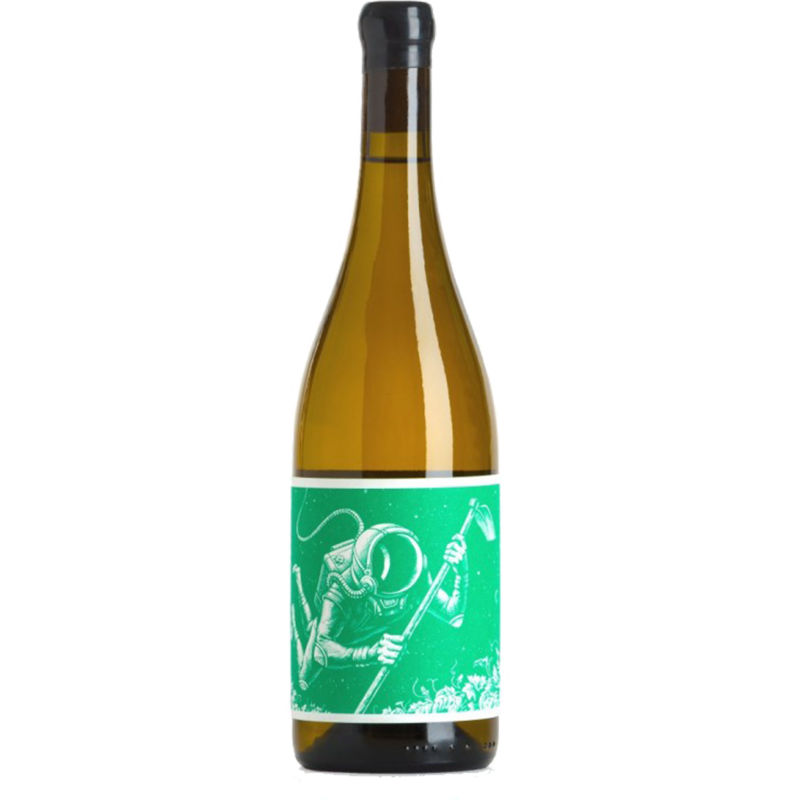 El Cosmonauta en el Barranco de agua 2018