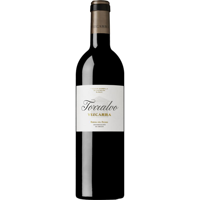 Vizcarra torralvo 2016