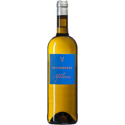 Quinta Apolonia 2020