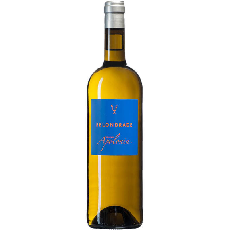 Quinta Apolonia 2020