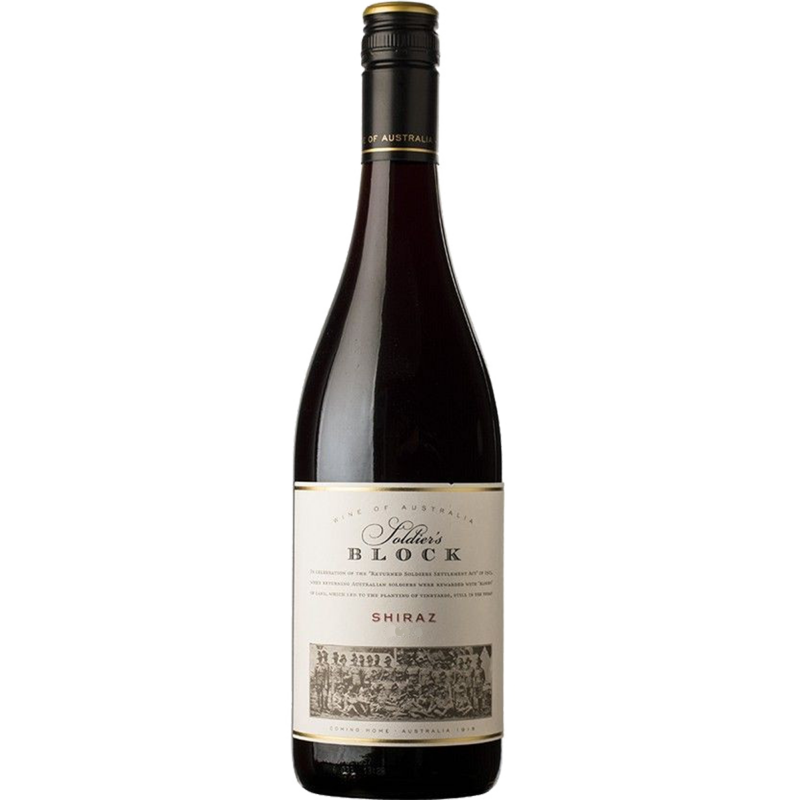 Soldiers Block Shiraz 2019