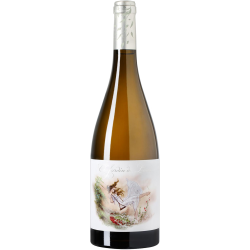 El Jardin de Lucia 2020