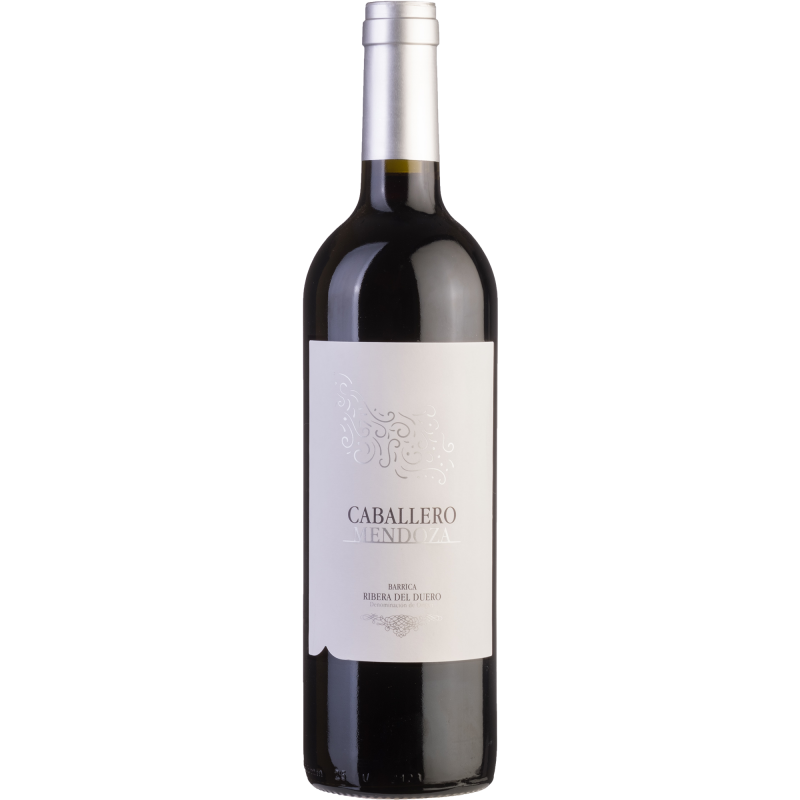 Caballero Mendoza 2020