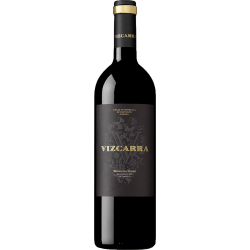 Vizcarra 15 meses 2019