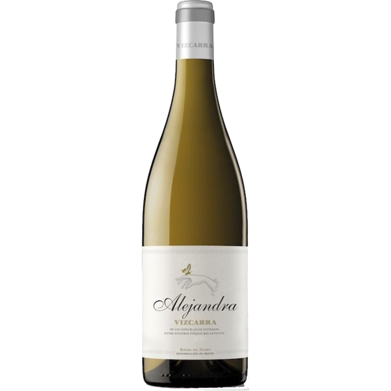 Vizcarra Alejandra 2020