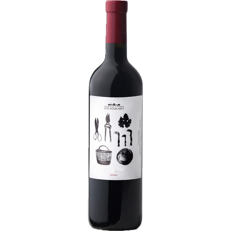 Cortijo Los Aguilares Joven 2022