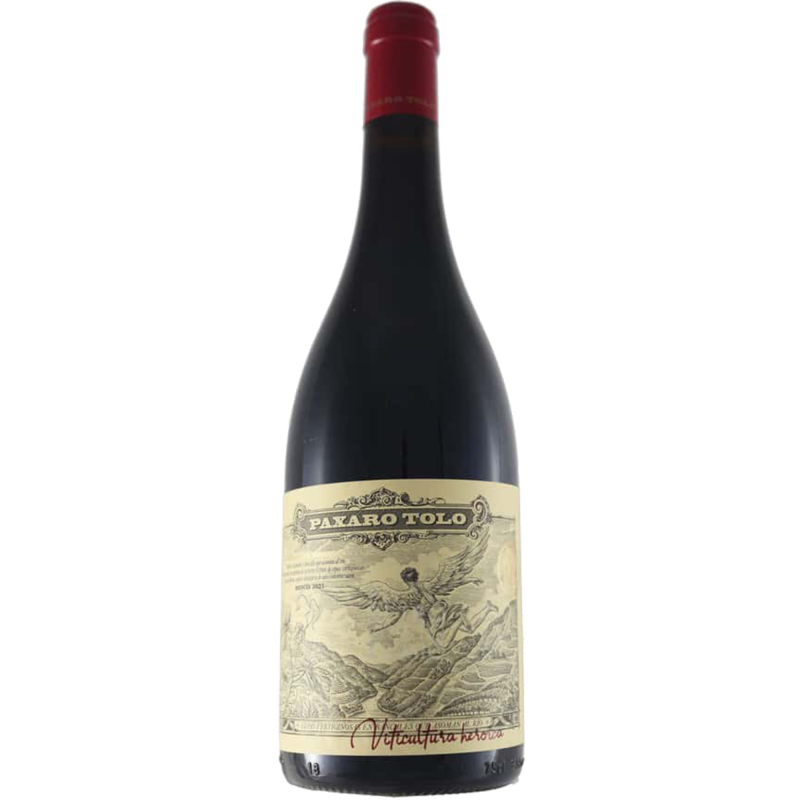 PAXARO TOLO 2021