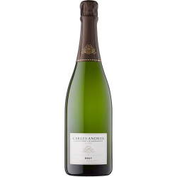 Carles Andreu brut