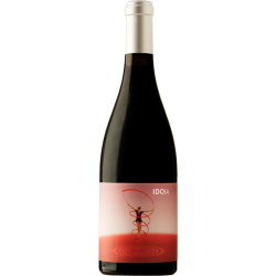 Ca N´estruc Idoia 2022