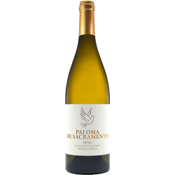 Paloma de Sacramento 2020