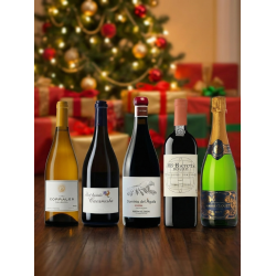 Queridos Reyes Magos