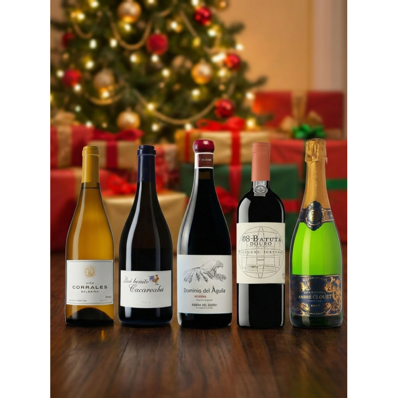 Queridos Reyes Magos