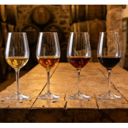 Andalusian wine tasting