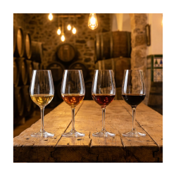 Andalusian wine tasting